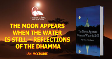 THE MOON APPEARS WHEN THE WATER IS STILL - REFLECTIONS OF THE DHAMMA