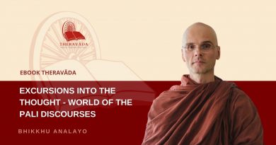 EXCURSIONS INTO THE THOUGHT-WORLD OF THE PALI DISCOURSES-BHIKKHU ANALAYO