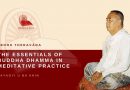THE ESSENTIALS OF BUDDHA DHAMMA IN MEDITATIVE PRACTICE - SAYAGYI U BA KHIN