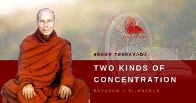 TWO KINDS OF CONCENTRATION - SAYADAW U SILANADA
