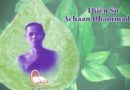 Thiền sư Achaan Dhammadaro 2
