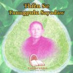 About Taungpulu Sayadaw