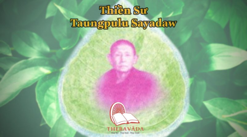 Thiền sư Taungpulu Sayadaw 2