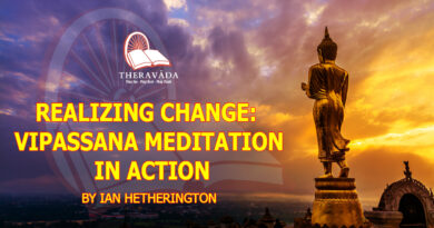 REALIZING CHANGE: VIPASSANA MEDITATION IN ACTION BY IAN HETHERINGTON