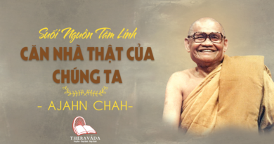 Videos [Suối Nguồn Tâm Linh] 30. Căn Nhà Thật Của Chúng Ta | Ajahn Chah