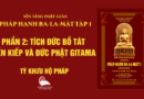 Videos [Pháp Hạnh Ba-La-Mật] 08. Phần 2: Tích Đức Bồ Tát Tiền Kiếp Và Đức Phật Gitama - Tỳ Khưu Hộ Pháp