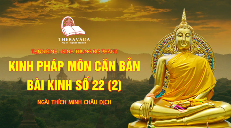 Videos 24. Kinh Pháp Môn Căn Bản - Bải Kinh Số 22 (2) | Ngài Thích Minh Châu Dịch - Kinh Trung Bộ Phần 1