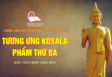 Videos 14. Tương Ưng Kosala – Phẩm Thứ Ba | Ngài Thích Minh Châu Dịch – Tương Ưng Bộ Kinh Phần 1