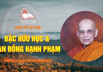 Videos 15. Bậc Hữu Học & Bạn Đồng Hạnh Phạm | Thiền Sư Acharya Buddharakkhita- Đoạn Trừ Lậu Hoặc