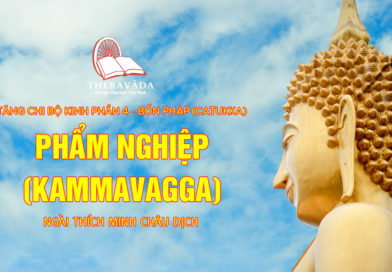 Videos 24. Phẩm Nghiệp (kammavagga) | Ngài Thích Minh Châu Dịch – Tăng Chi Bộ Kinh Phần 4