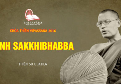 Videos 5. Kinh Sakkhibhabba | Thiền Sư U Jatila – Khóa Thiền Năm 2016