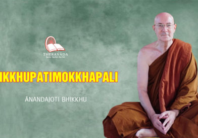 Bhikkhupatimokkhapali