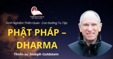 Con-duong-tu-tap-phat-phap-Dharma-Joseph-Goldstein-Theravada