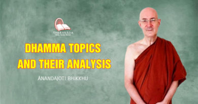 Dhamma Topics and their Analysis