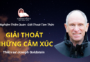 Giai-thoat-nhung-cam-xuc-Joseph-Goldstein-Theravada