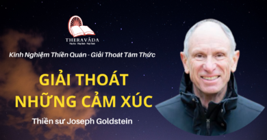 Giai-thoat-nhung-cam-xuc-Joseph-Goldstein-Theravada