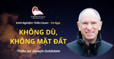 Khong-du-khong-mat-dat-Joseph-Goldstein-Theravada