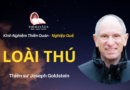 Loai-thu-Joseph-Goldstein-Theravada