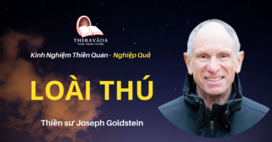Loai-thu-Joseph-Goldstein-Theravada
