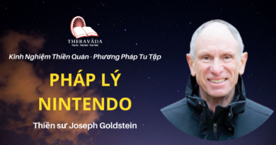 Phap-ly-nintendo-Joseph-Goldstein-Theravada
