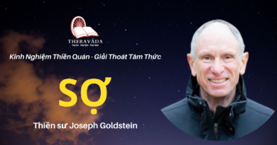 So-Joseph-Goldstein-Theravada