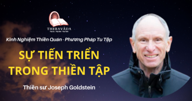 Su-tien-trien-trong-thien-tap-Joseph-Goldstein-Theravada
