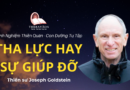 Tha luc hay su giup do Joseph Goldstein Theravada