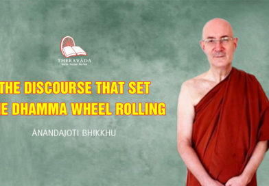 The Discourse that Set the Dhamma Wheel Rolling