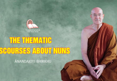 The Thematic Discourses about Nuns