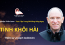 Tinh-khoi-hai-Joseph-Goldstein-Theravada