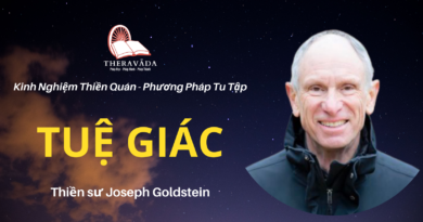 Tue-giac-Joseph-Goldstein-Theravada