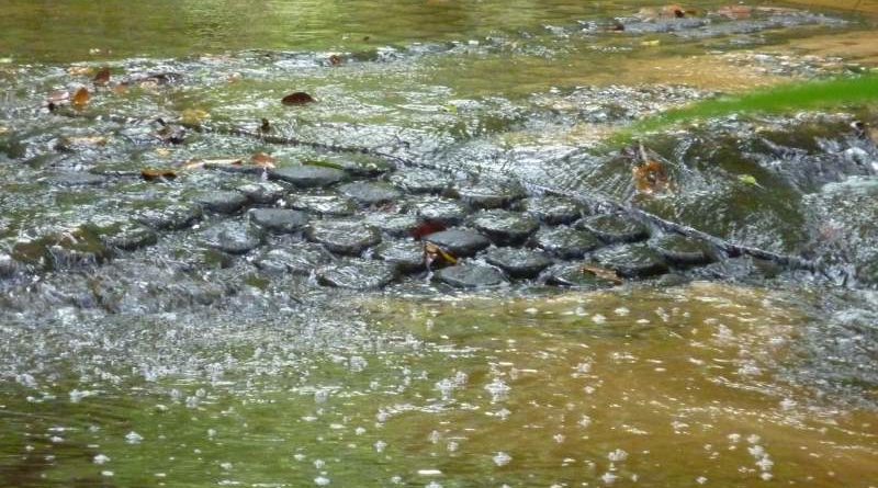 008 Water Rushing Over The Lingas Thumb