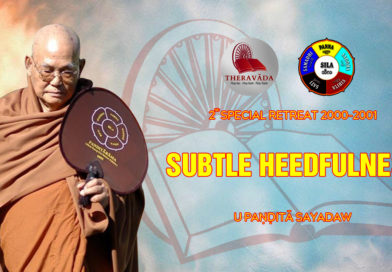 Video 21. Subtle Heedfulness | U Paṇḍitā Sayadaw – 2nd Special Retreat 2000 – 2001