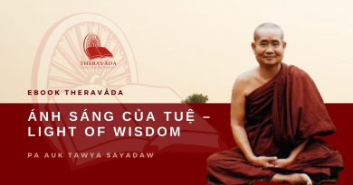 ÁNH SÁNG CỦA TUỆ - LIGHT OF WISDOM - PA AUK TAWYA SAYADAW