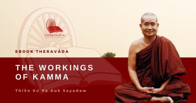 THE WORKINGS OF KAMMA - PA AUK SAYADAW