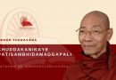 KHUDDAKANIKAYE PATISAMBHIDAMAGGAPALI - SAYADAW DR. NANDAMALABHIVAMSA
