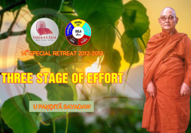 Video  3. Three Stage Of Effort | U Paṇḍitā Sayadaw – 14th Special Retreat 2012-2013