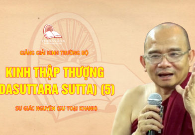 Video  64. Kinh Thập Thượng (dasuttara Sutta) (5) | Sư Giác Nguyên (sư Toại Khanh)