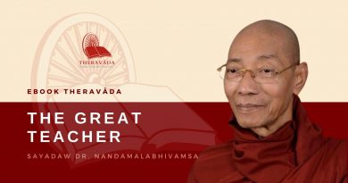 THE GREAT TEACHER - SAYADAW DR. NANDAMALABHIVAMSA