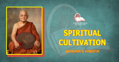 SPIRITUAL CULTIVATION - SAYADAW U PANDITABHIVAMSA