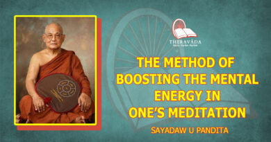 THE METHOD OF BOOSTING THE MENTAL ENERGY IN ONE'S MEDITATION - SAYADAW U PANDITABHIVAMSA