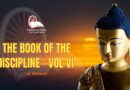 THE BOOK OF THE DISCIPLINE VOL VI (ENG)